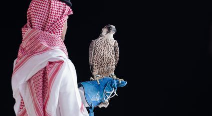 بيع شاهين فرخ في الليلة الـ19 لمزاد نادي الصقور السعودي 2025