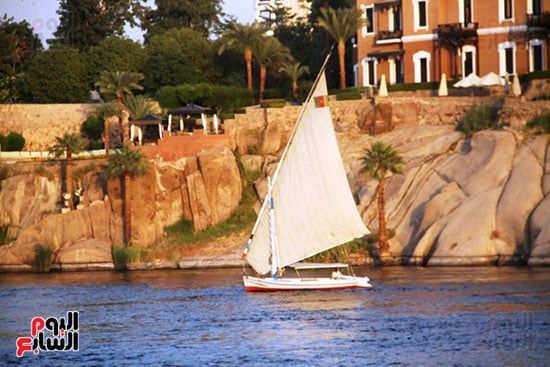 مركب-شراعى-فى-النيل