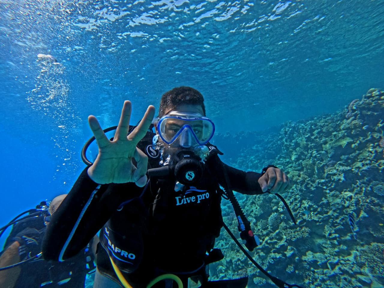 الشاب محمد كرم أول غواص مصري من أصحاب متلازمة داون الشاب محمد كرم أول غواص مصري من أصحاب متلازمة داون