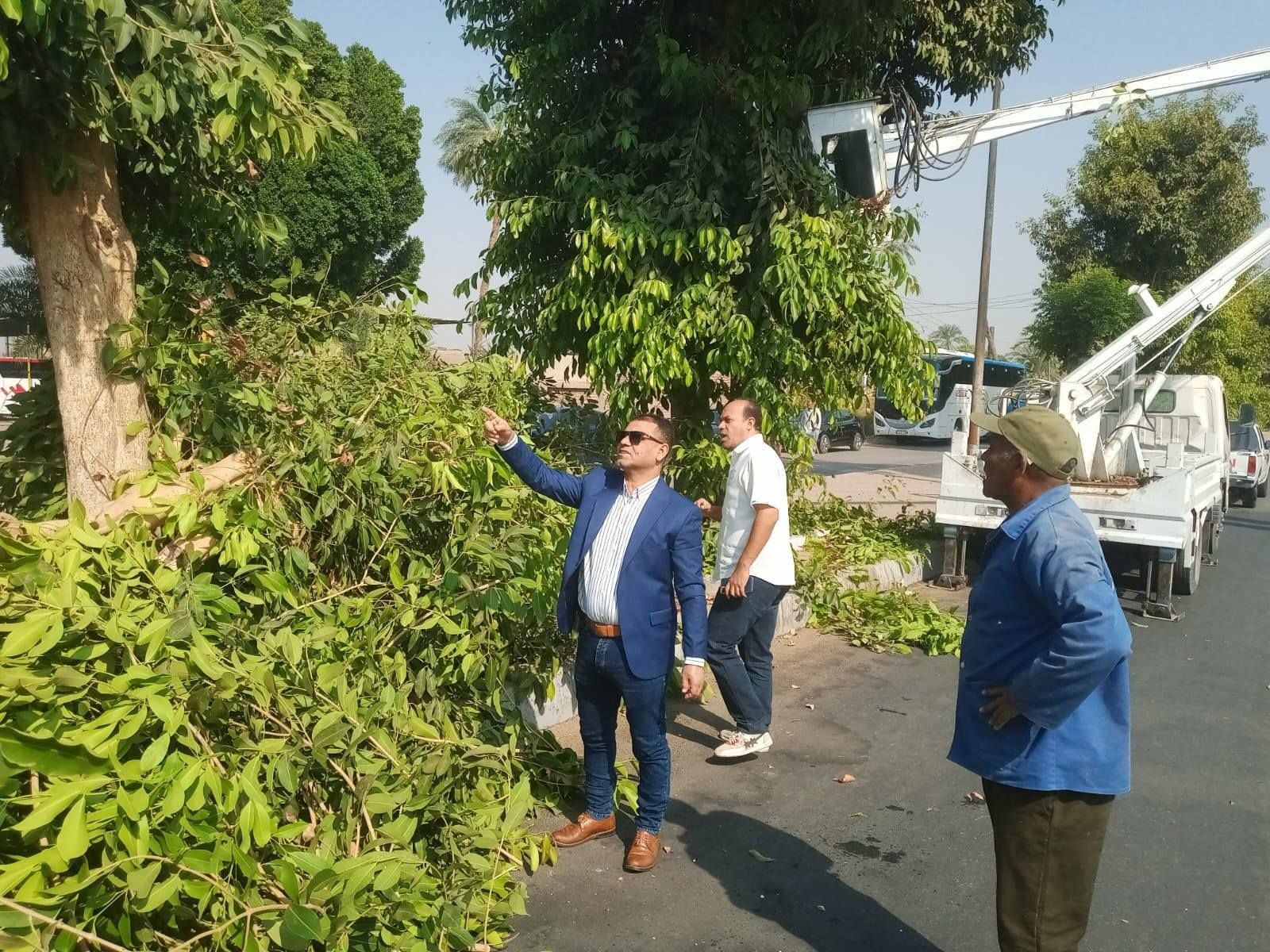 حملات تجميل وقص للأشجار على المسار السياحي وشوارع مدينة البياضية حملات تجميل وقص للأشجار على المسار السياحي وشوارع مدينة البياضية