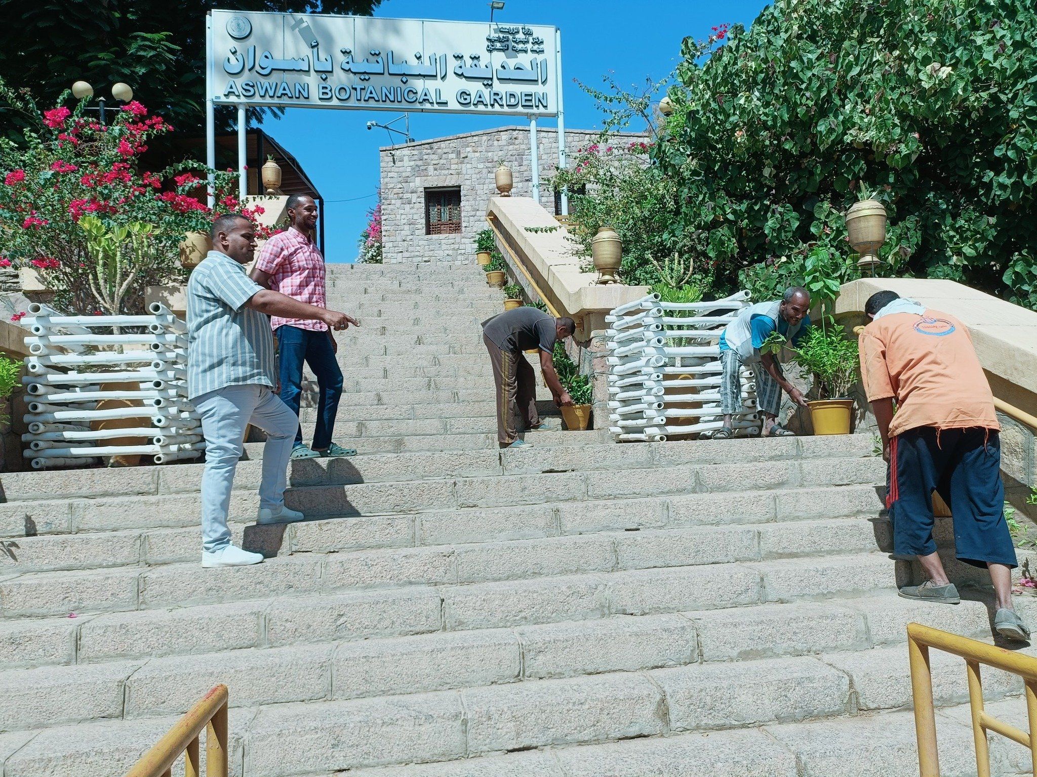 استعدادات الموسم السياحى الشتوى استعدادات الموسم السياحى الشتوى