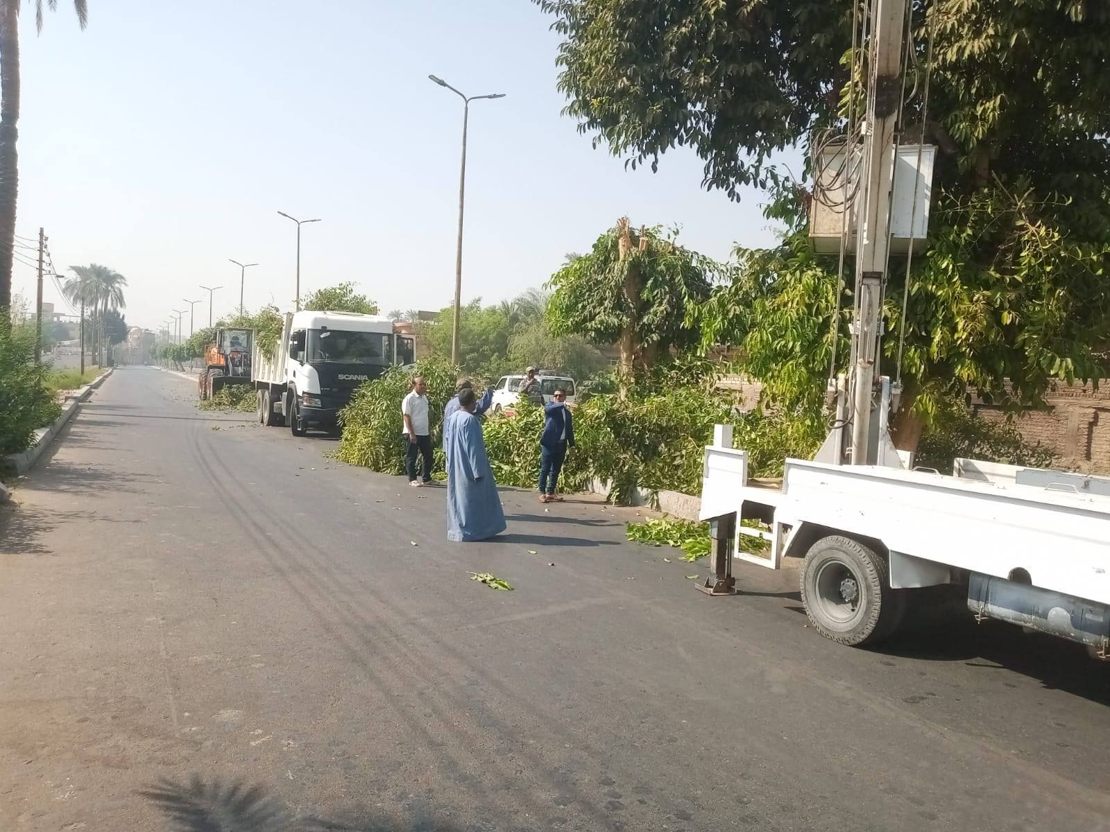 تجميل وقص للأشجار على المسار السياحي وشوارع مدينة البياضية تجميل وقص للأشجار على المسار السياحي وشوارع مدينة البياضية