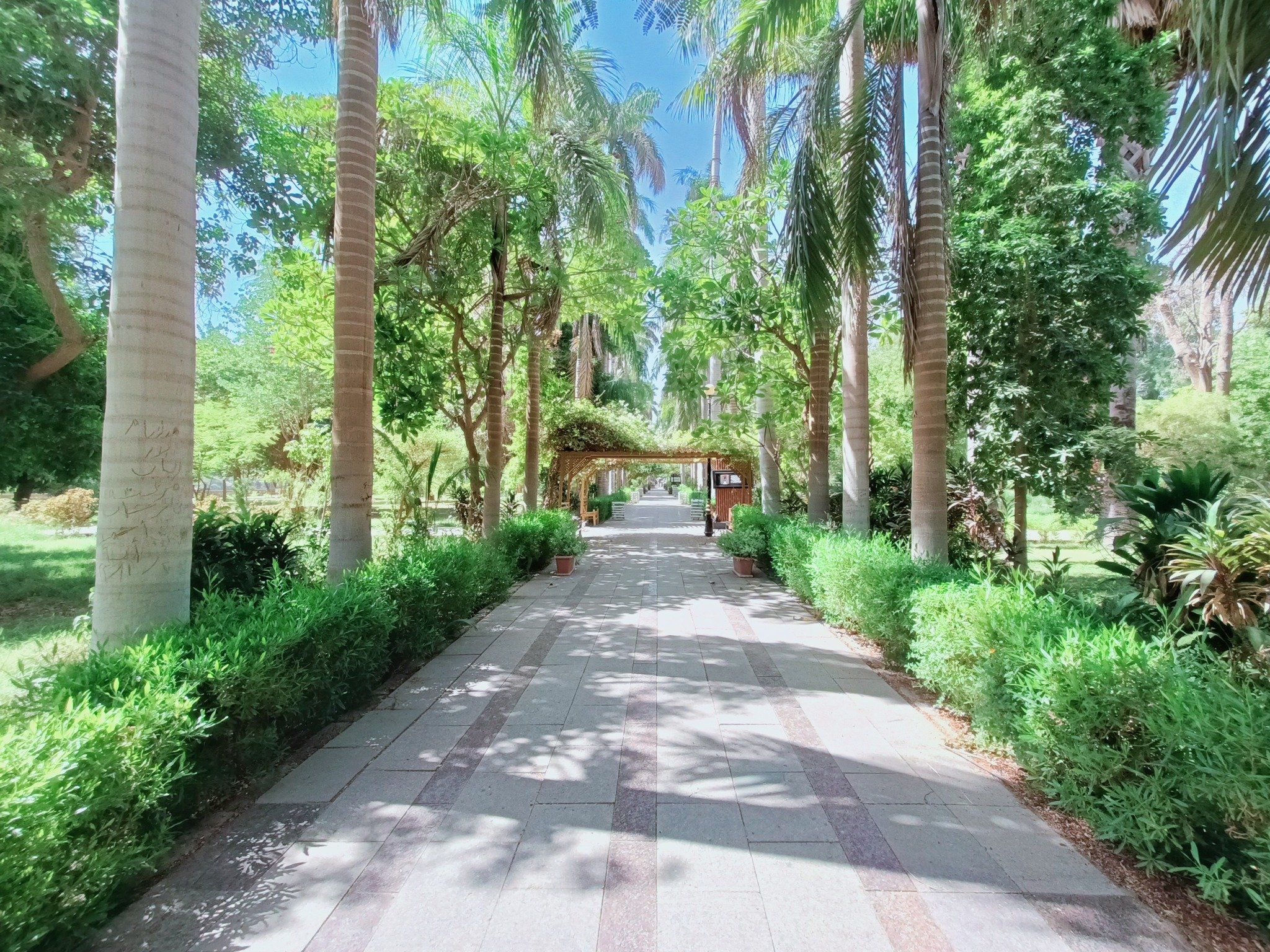 ممشى الحديقة من الداخل ممشى الحديقة من الداخل