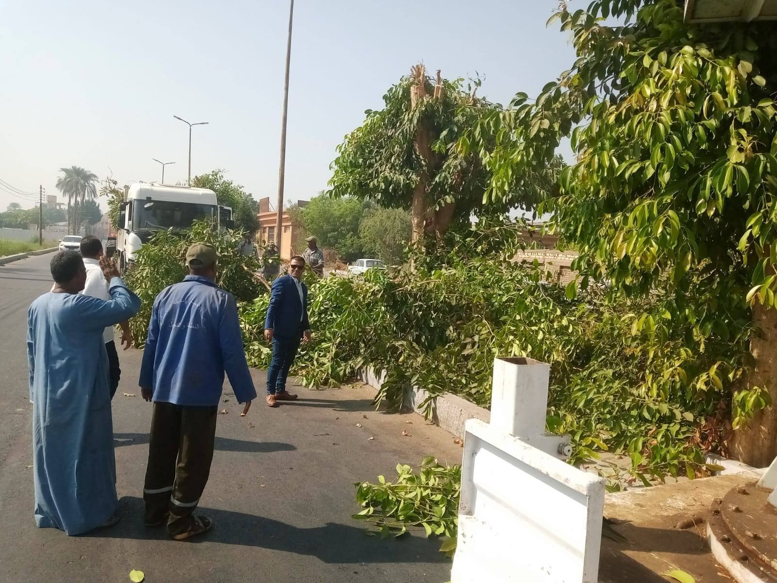 حملة تجميل وقص للأشجار على المسار السياحي وشوارع مدينة البياضية حملة تجميل وقص للأشجار على المسار السياحي وشوارع مدينة البياضية