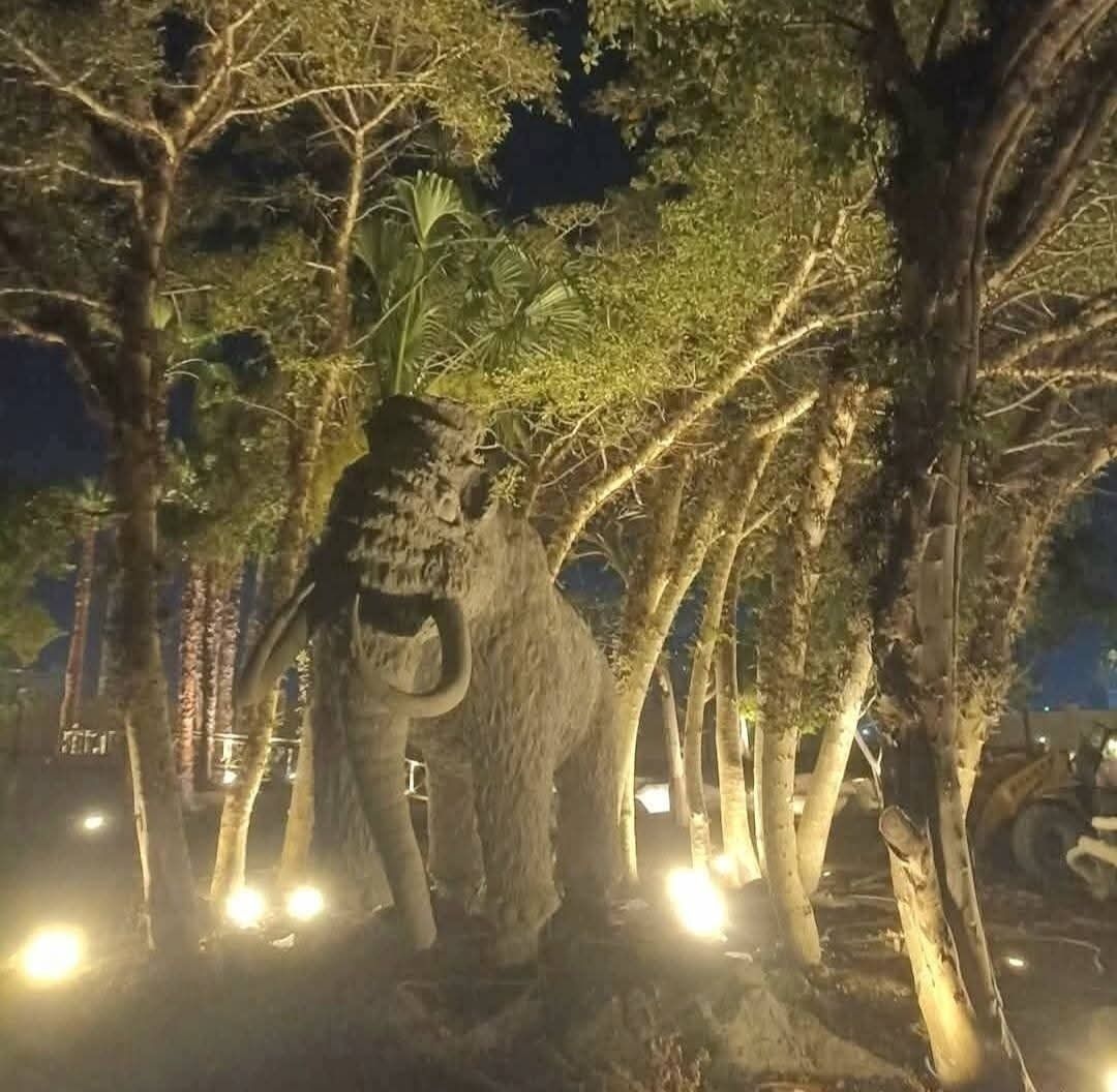 561690419_1122305266699753_2510427079178613426_n 561690419_1122305266699753_2510427079178613426_n