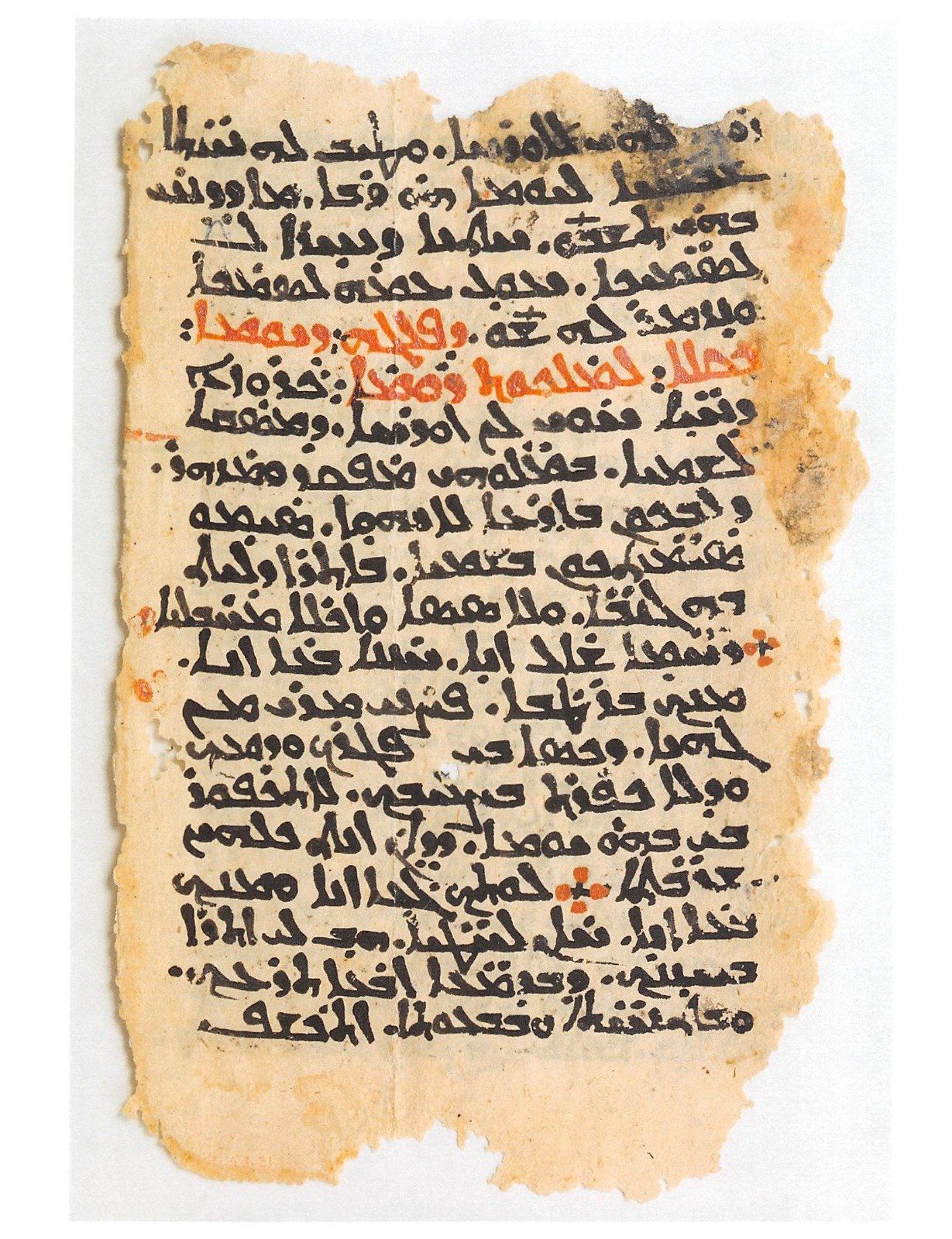 WhatsApp Image 2025-11-06 at 2.05.04 PM (1) WhatsApp Image 2025-11-06 at 2.05.04 PM (1)