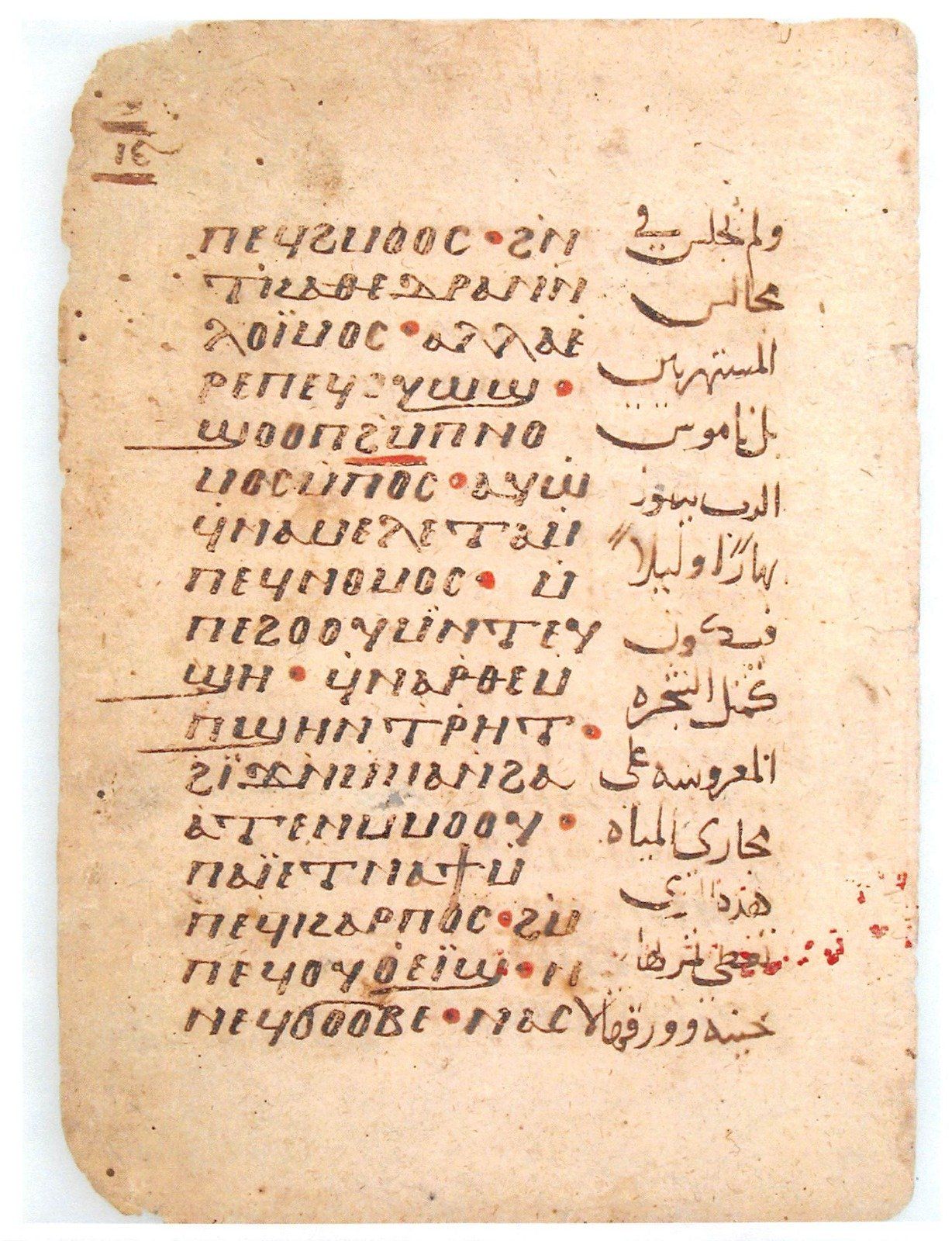 WhatsApp Image 2025-11-06 at 2.05.07 PM WhatsApp Image 2025-11-06 at 2.05.07 PM