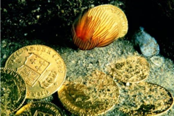 عملات أثرية بأبو قير عملات أثرية بأبو قير