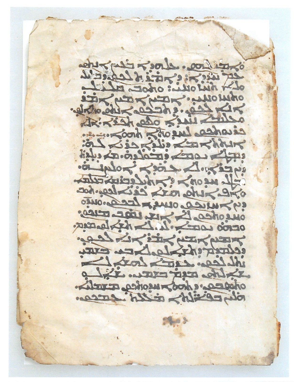 WhatsApp Image 2025-11-06 at 2.05.04 PM (3) WhatsApp Image 2025-11-06 at 2.05.04 PM (3)