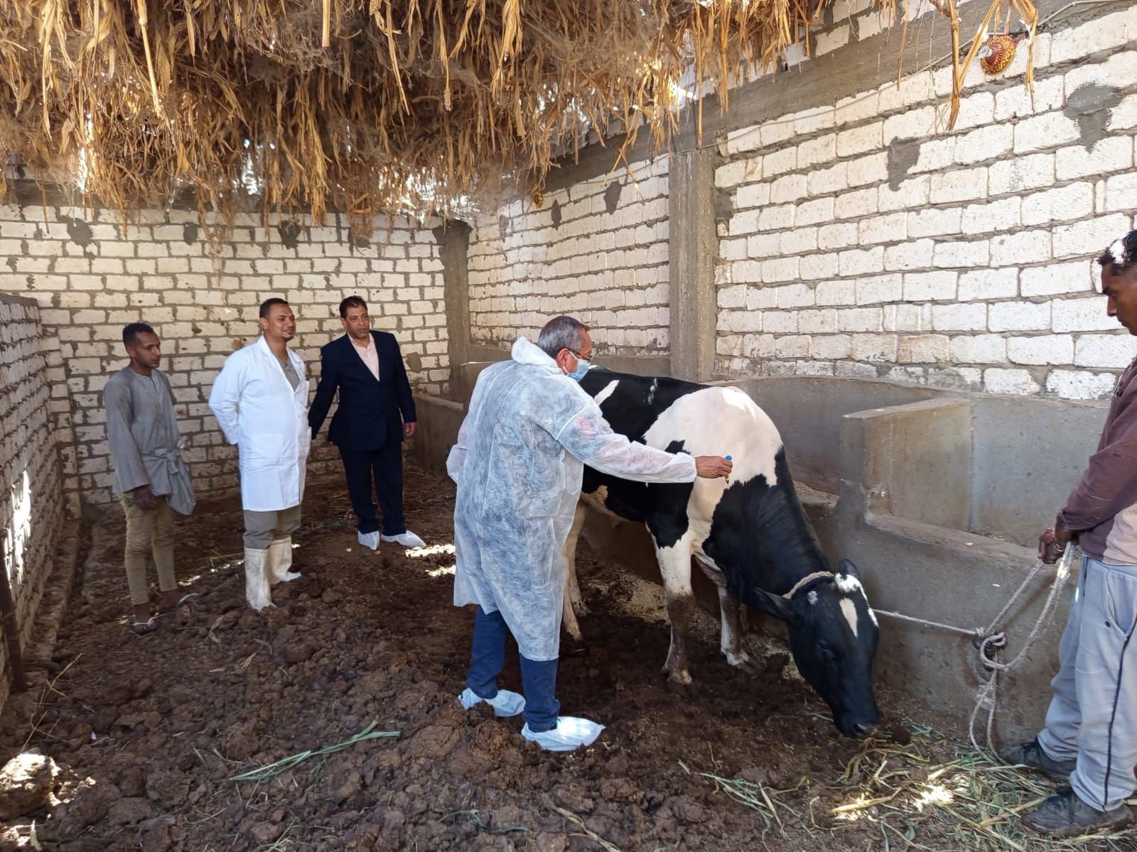 تحصين 109 ألف حيوان بالحملة القومية الثالثة ضد الحمى القلاعية والوادي المتصدع تحصين 109 ألف حيوان بالحملة القومية الثالثة ضد الحمى القلاعية والوادي المتصدع