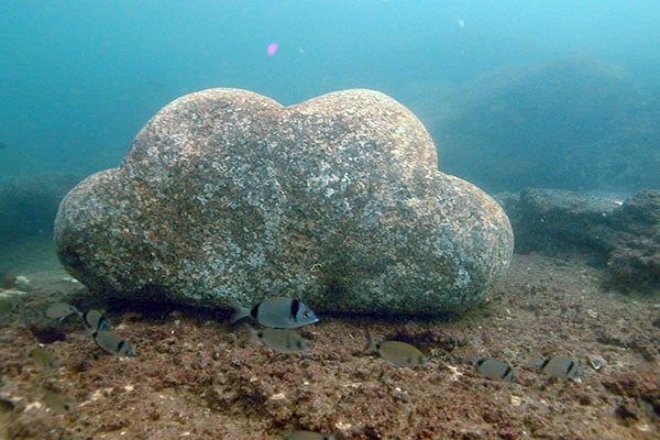 سحر أسفل بحر الاسكندرية سحر أسفل بحر الاسكندرية