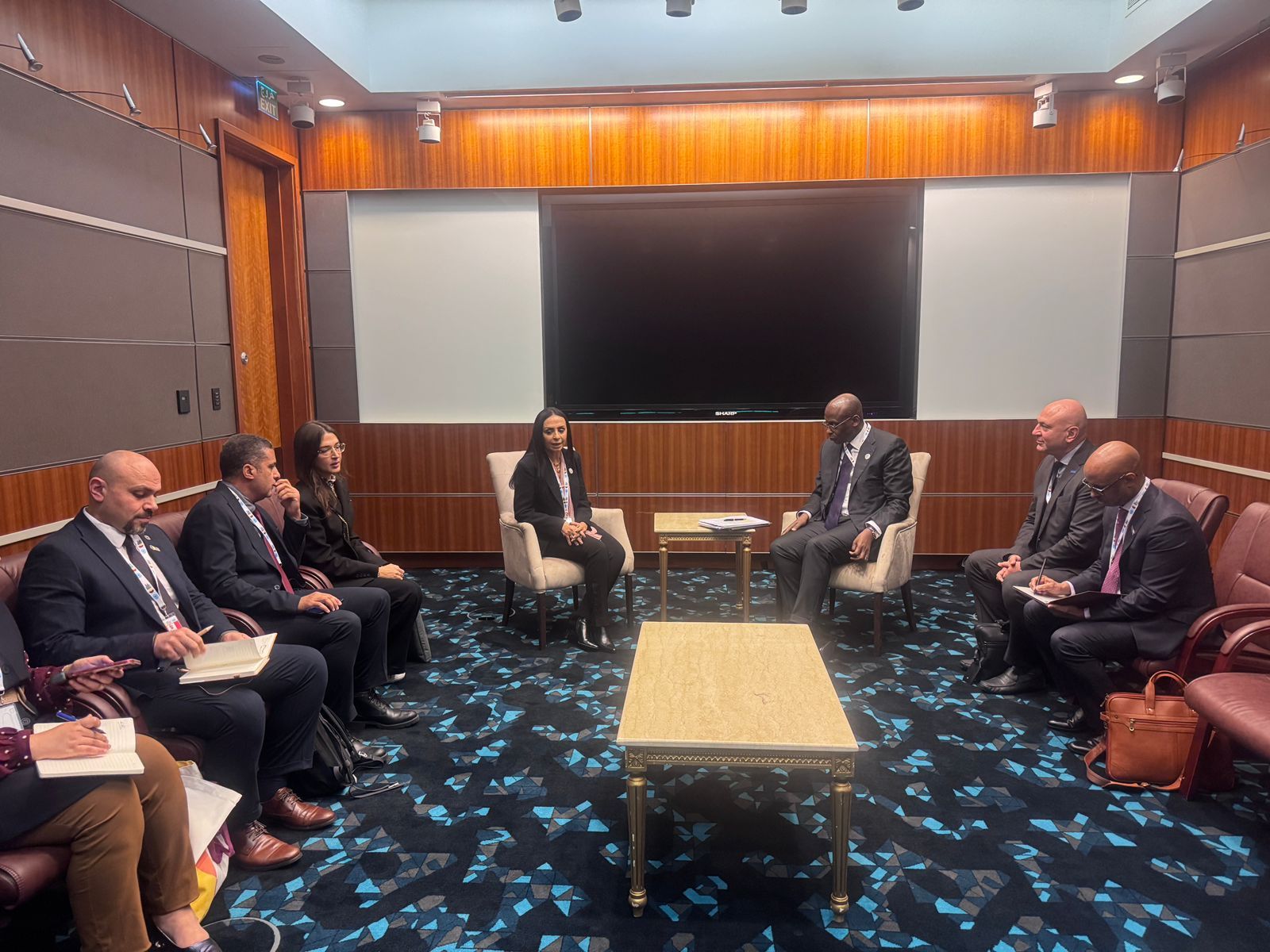 الدكتورة مايا مرسي وزيرة التضامن والمفوض السامي للاجئين لشؤون العمليات بالأمم المتحدة