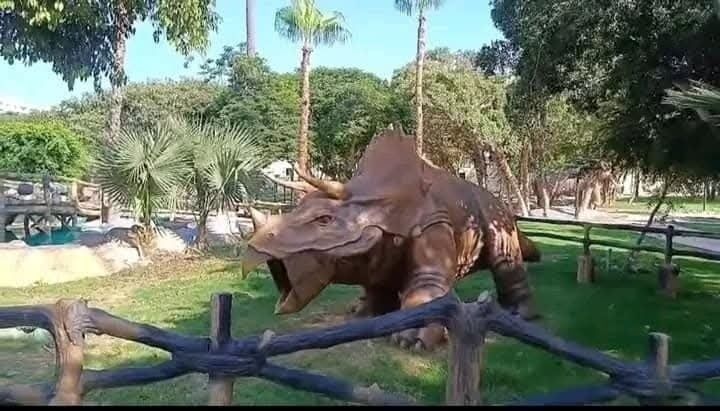 مجسمات الديناصورات (5) مجسمات الديناصورات (5)