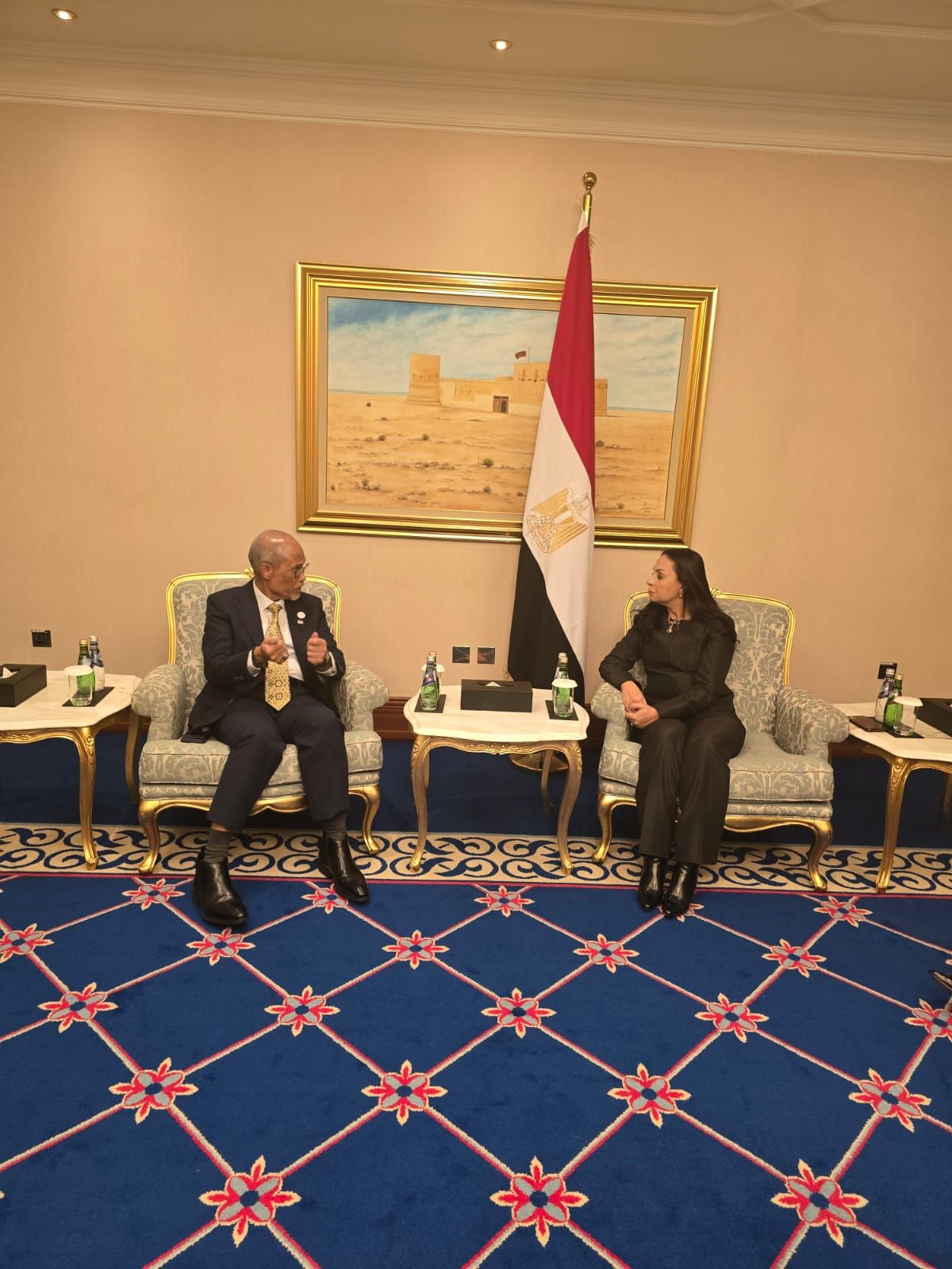 الدكتورة مايا مرسى خلال اللقاء الدكتورة مايا مرسى خلال اللقاء