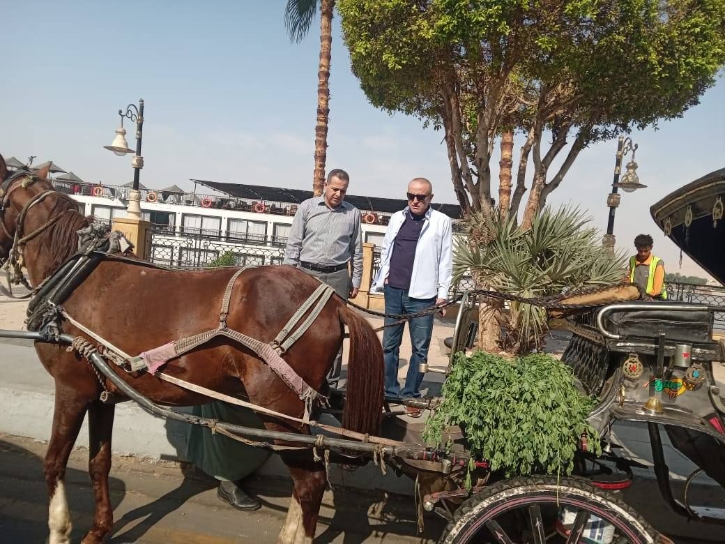 محافظ الأقصر يتابع الإلتزام بالنظافة وطريق المسار السياحى محافظ الأقصر يتابع الإلتزام بالنظافة وطريق المسار السياحى