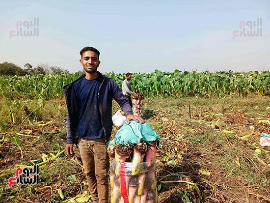 تعبئة-المحصول تعبئة-المحصول