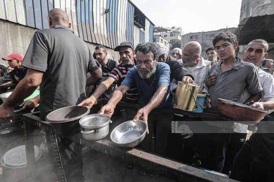 محاولات الحصول على طعام محاولات الحصول على طعام