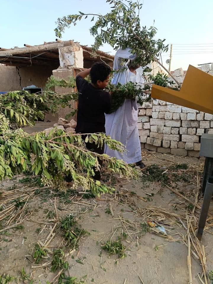 ادخال المخلفات في الماكينة ادخال المخلفات في الماكينة