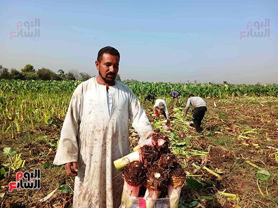 محمد-ابراهيم-تاجر محمد-ابراهيم-تاجر