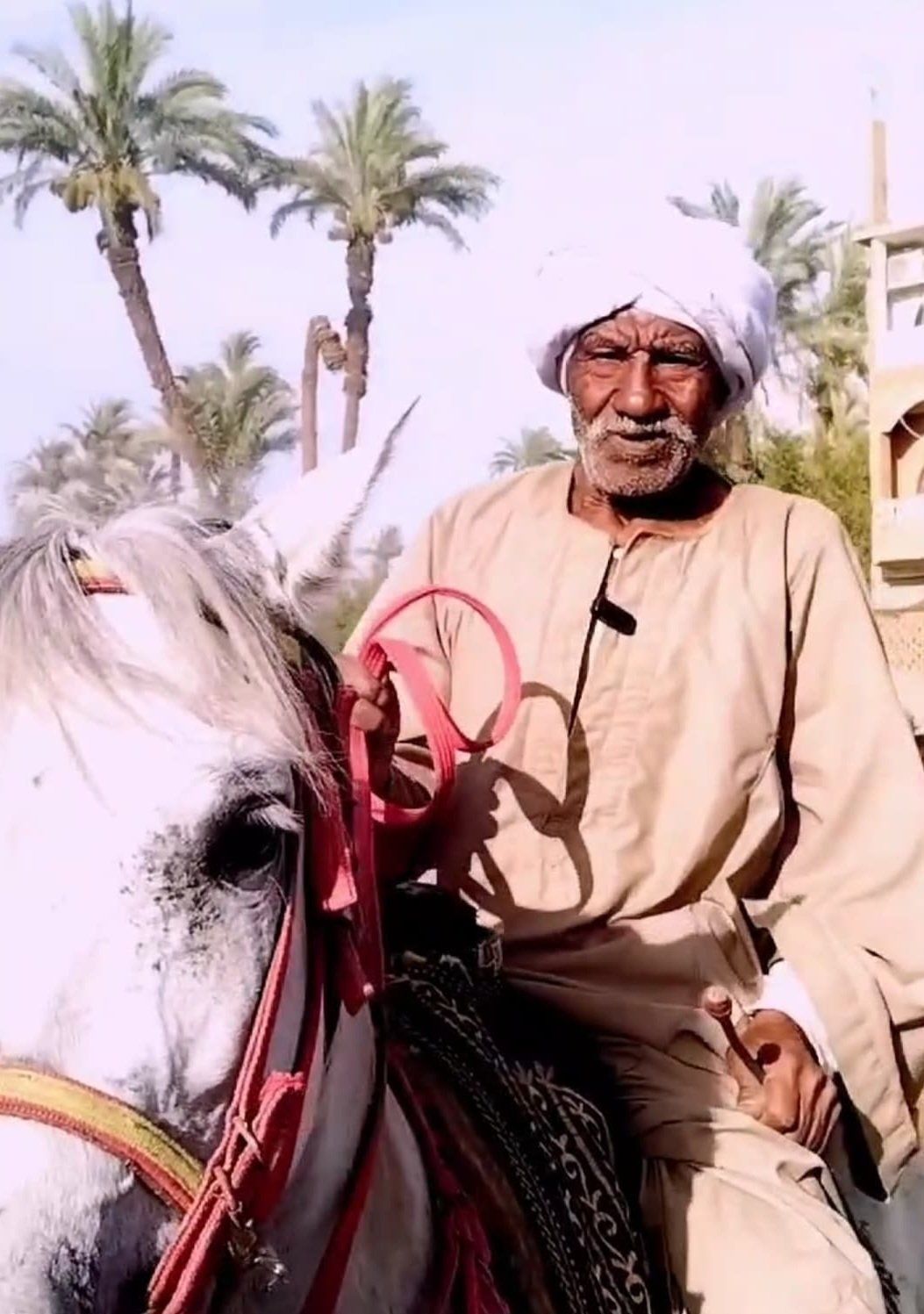 أكبر خيال في قنا أكبر خيال في قنا