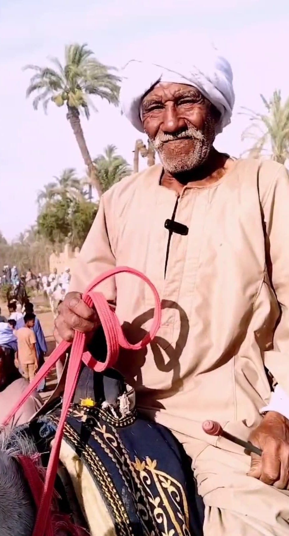 العم أحمد مع خيله العم أحمد مع خيله