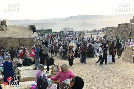 رحلة المصريين للهرم