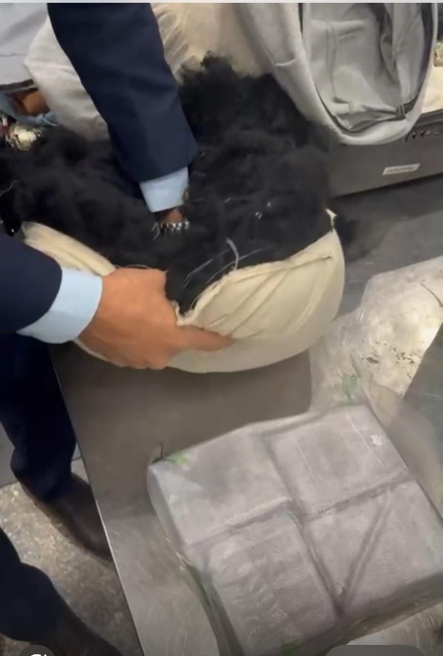 جمارك مطار القاهرة تضبط راكب أجنبي حاول الدخول بخمسه كيلو حشيش (7)