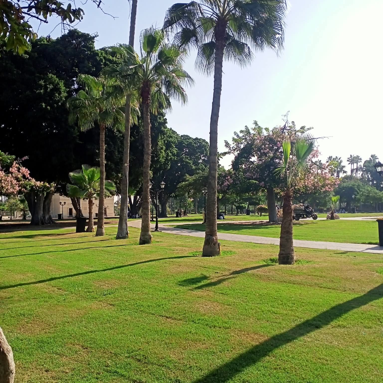 جمال المساحات الخضراء جمال المساحات الخضراء