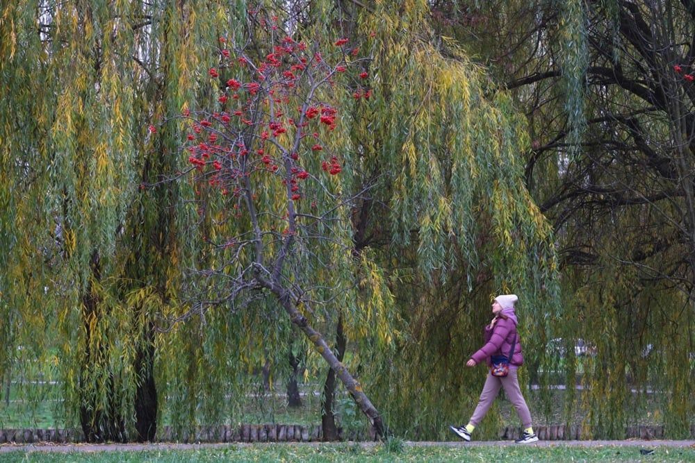 الخريف الذهبي يزين العاصمة الروسية موسكو (8)