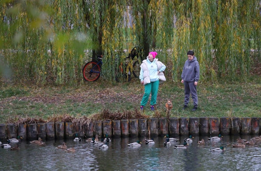 الخريف الذهبي يزين العاصمة الروسية موسكو (5)