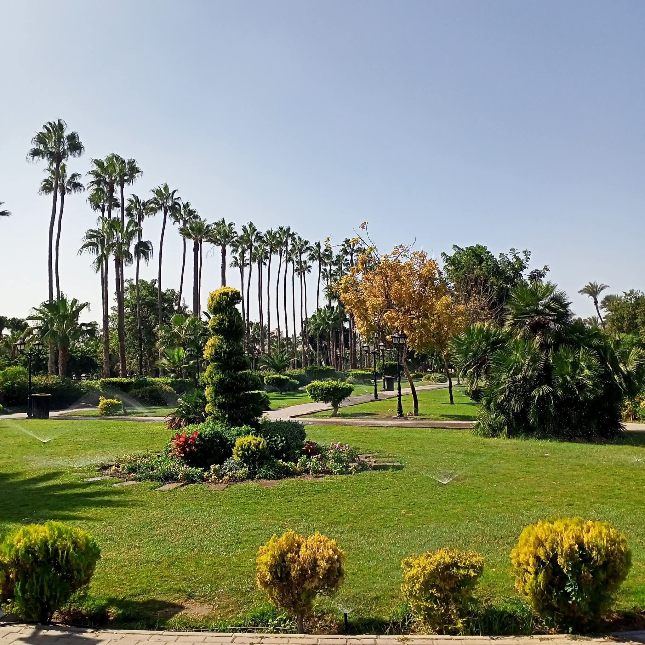 الحدائق سميت جنات النعيم الحدائق سميت جنات النعيم