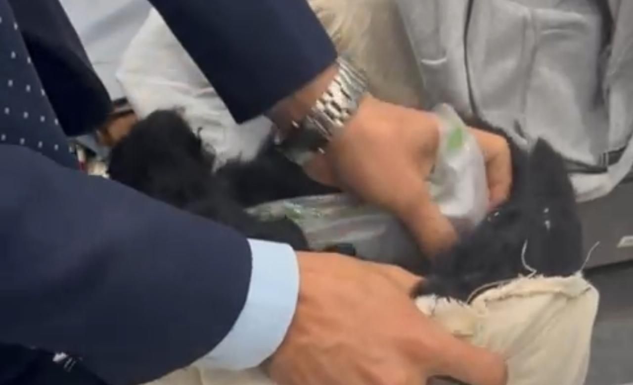 جمارك مطار القاهرة تضبط راكب أجنبي حاول الدخول بخمسه كيلو حشيش (6)