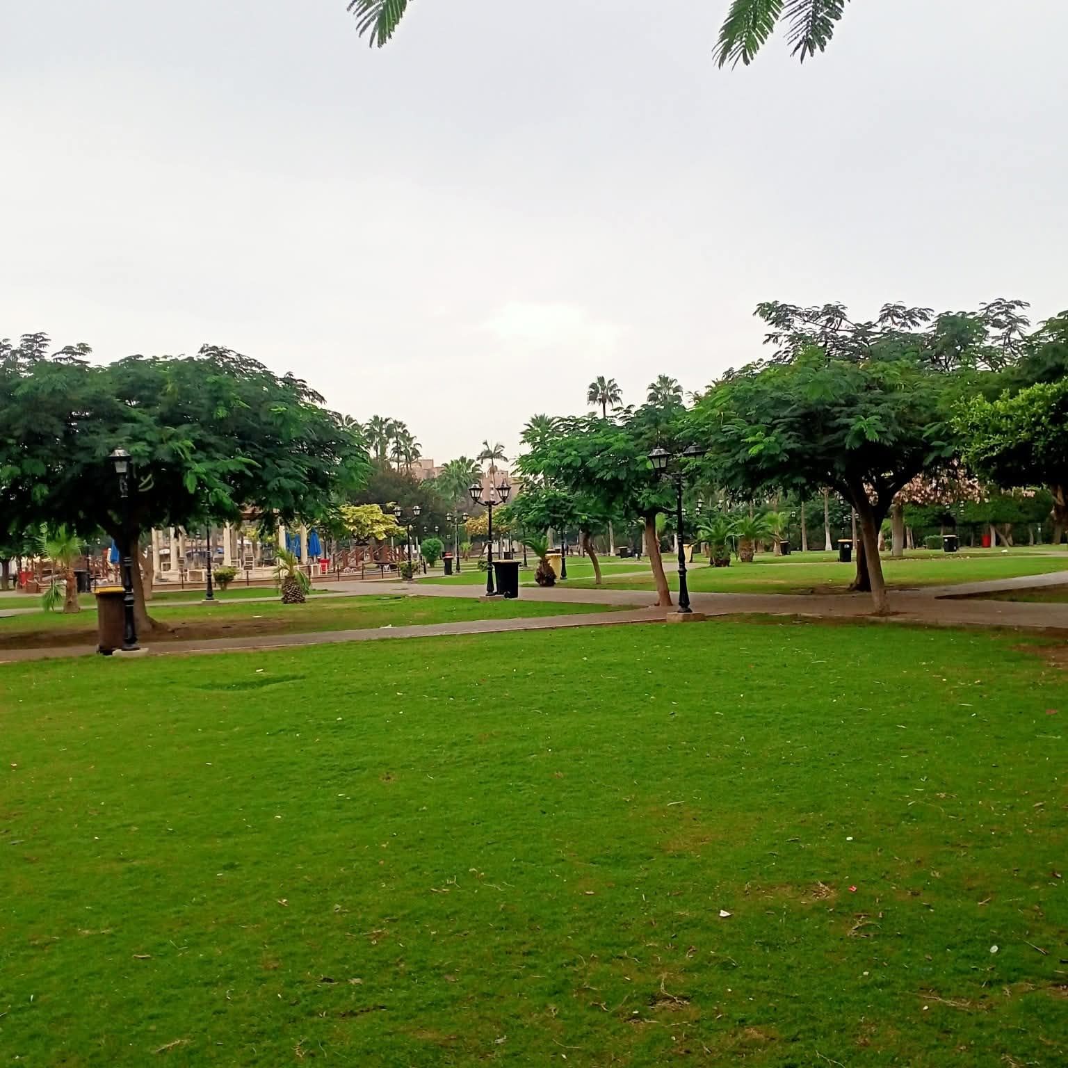 مساحات شاسعه من الطبيعه مساحات شاسعه من الطبيعه