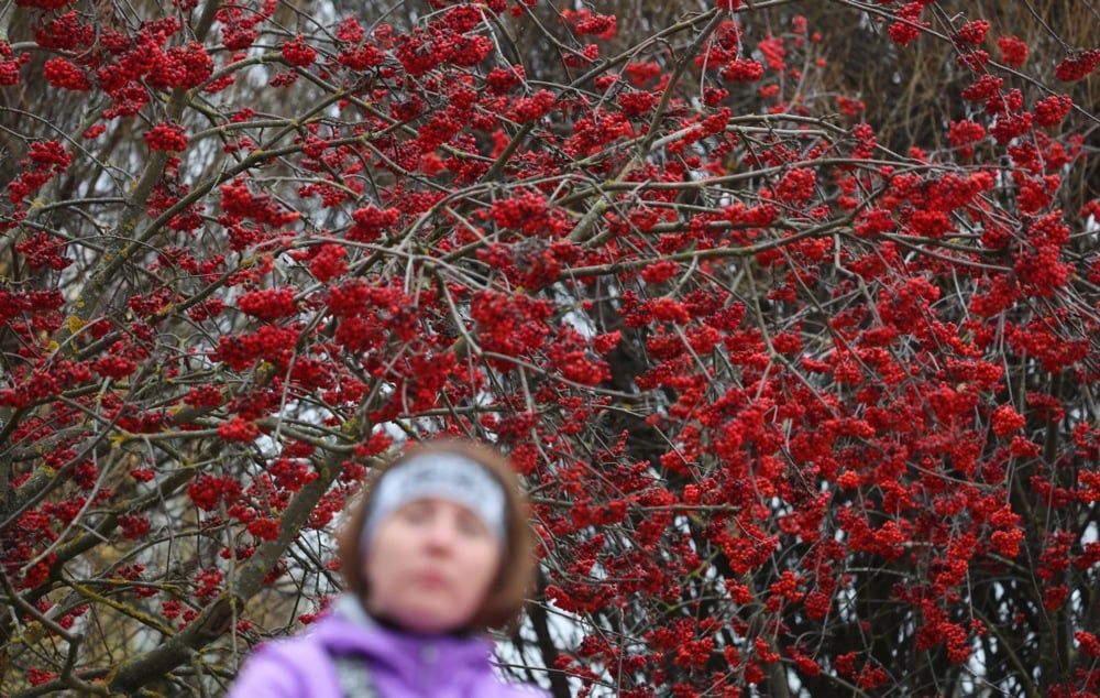 الخريف الذهبي يزين العاصمة الروسية موسكو (3)