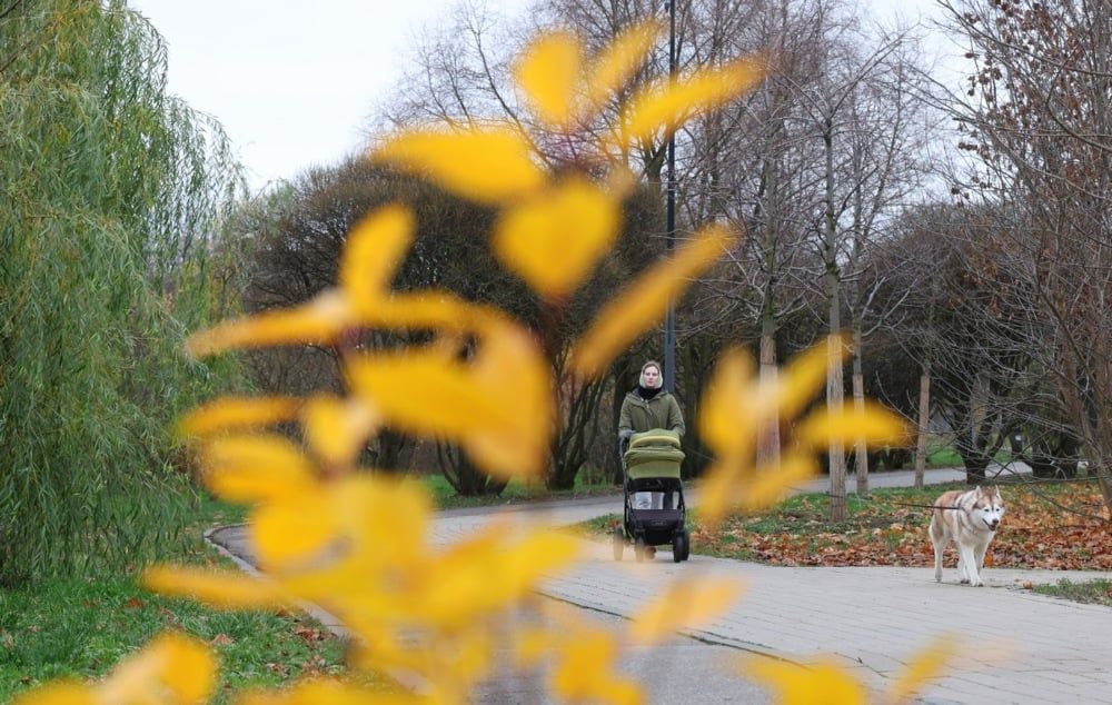 الخريف الذهبي يزين العاصمة الروسية موسكو (2)