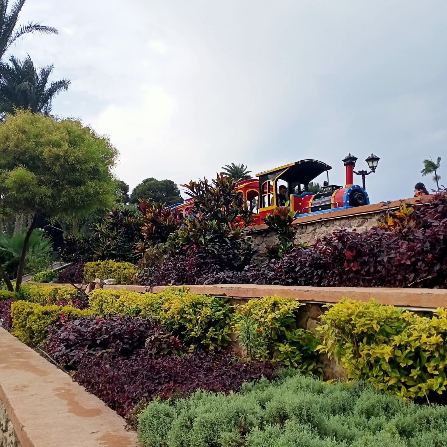 الطفطف الطفطف