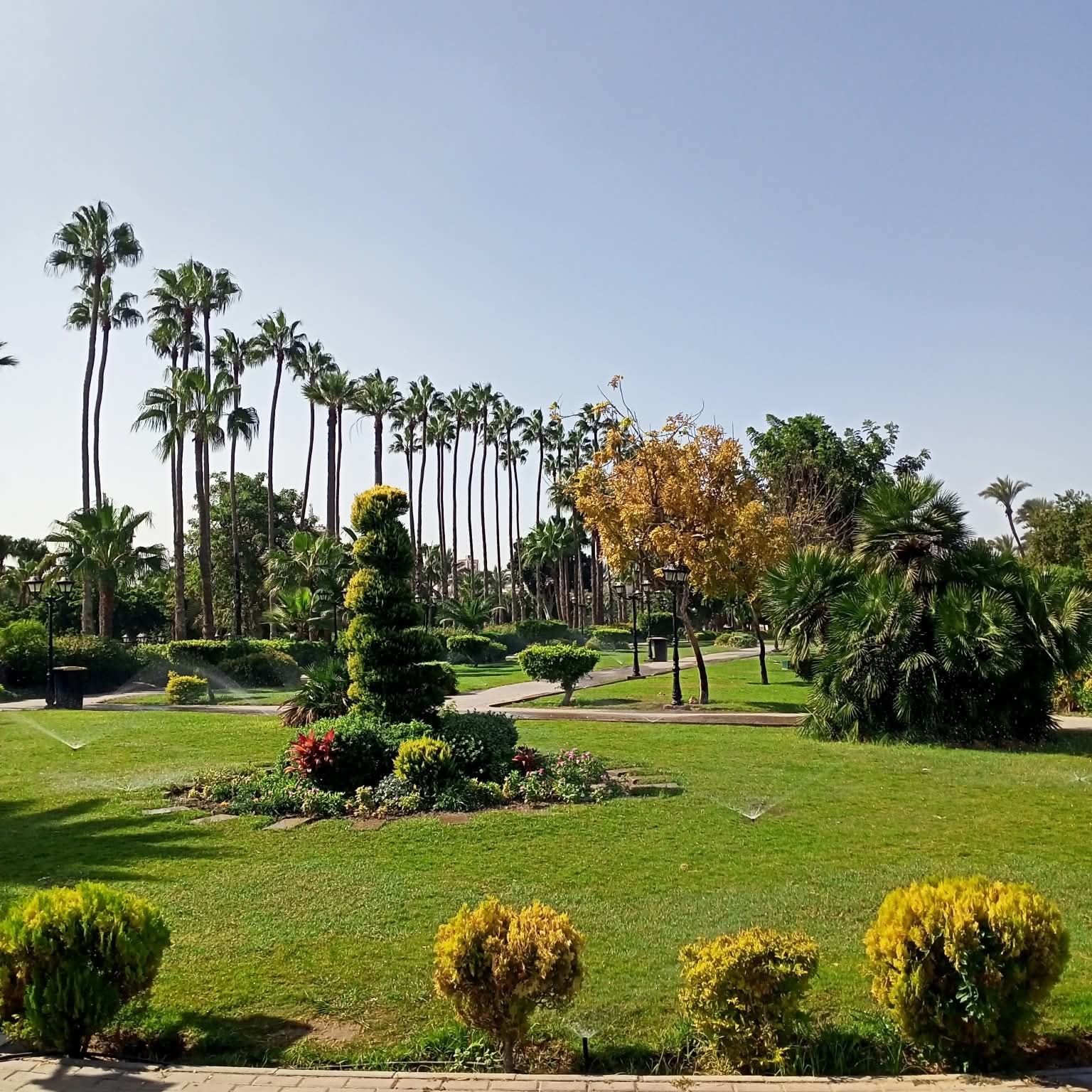 ساحة مسجد الواحد الاحد ساحة مسجد الواحد الاحد