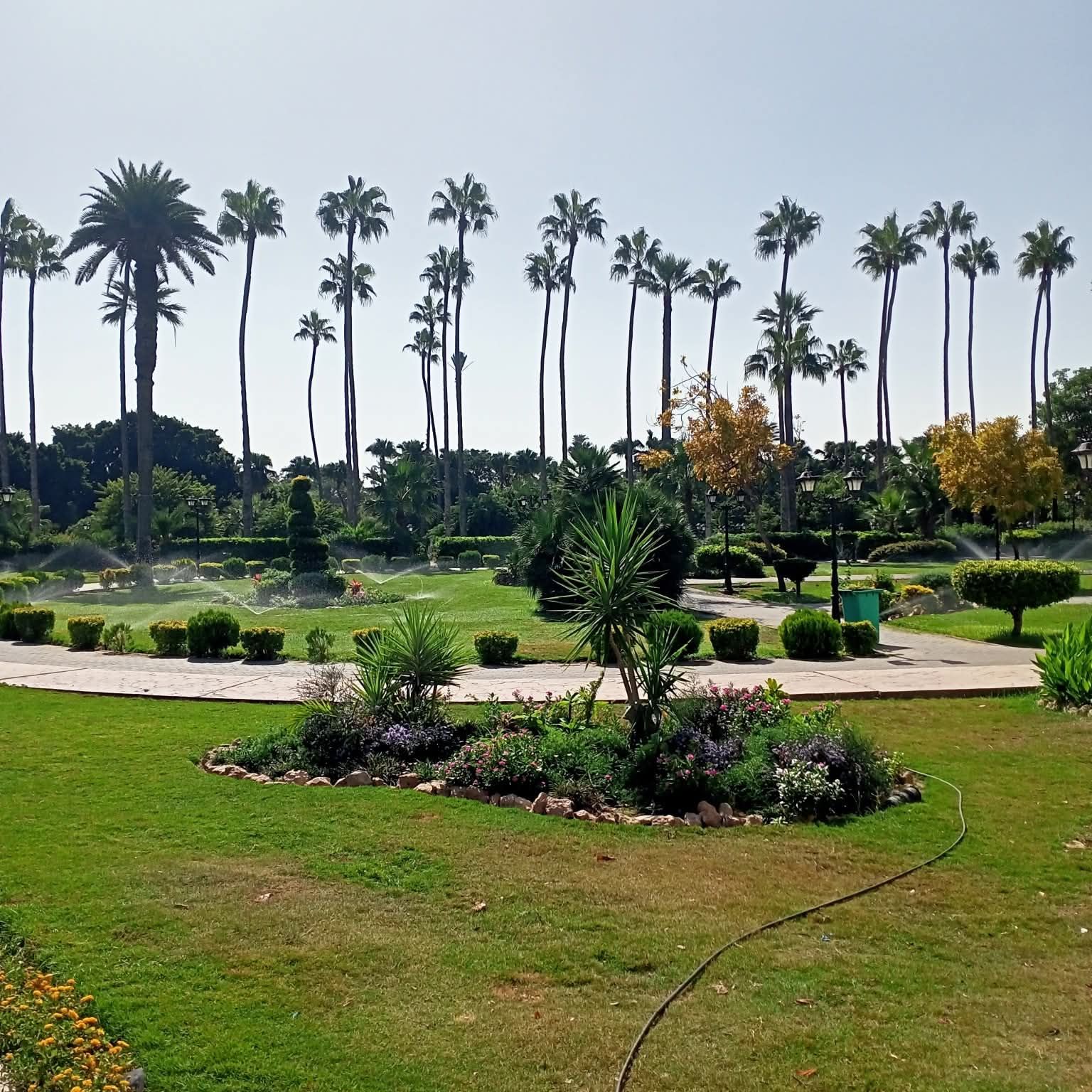 حديقة رسم حافظ بانطونيادس حديقة رسم حافظ بانطونيادس