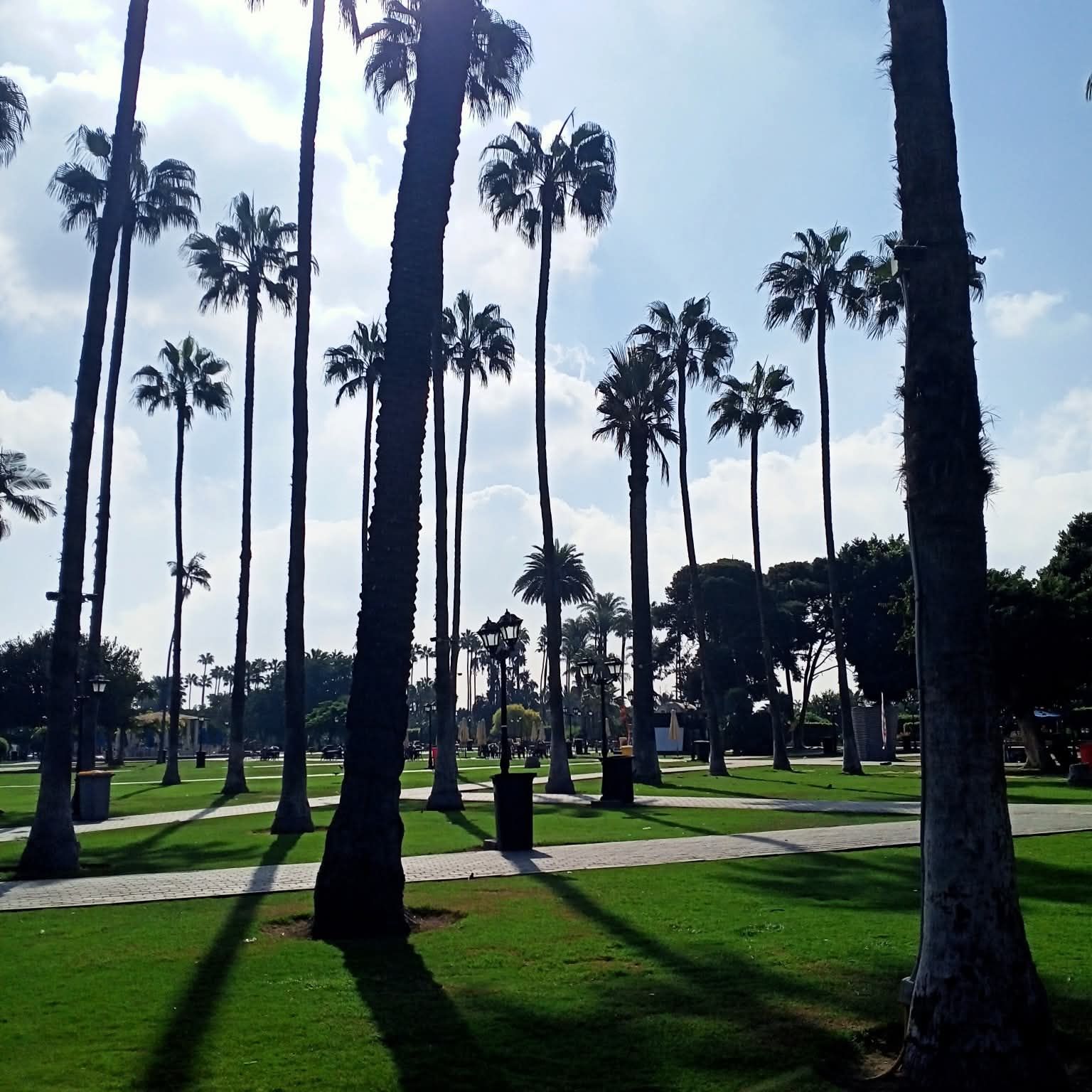 الشمس الدافئة الشمس الدافئة