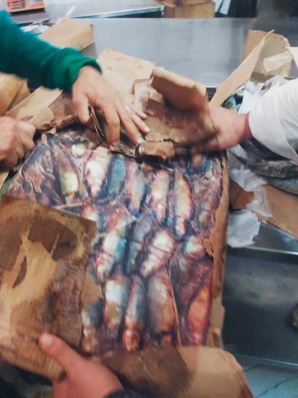 المضبوطات بالحملة المضبوطات بالحملة