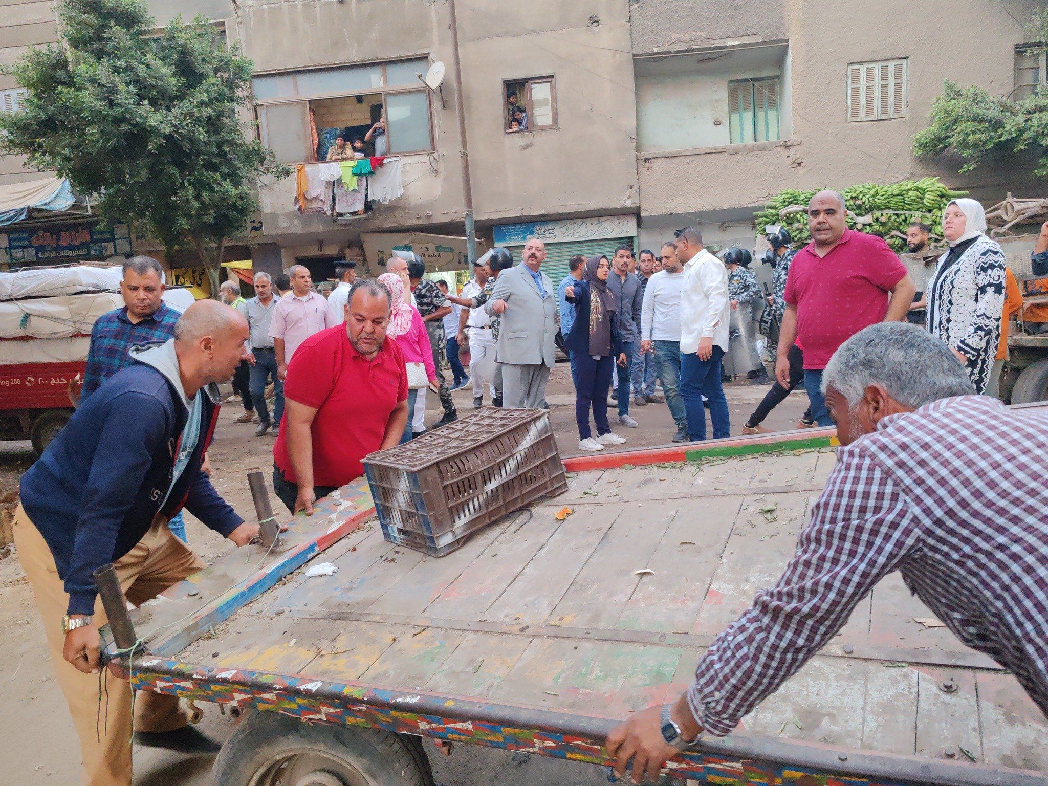 رفع ومصادرة العربات الكارو رفع ومصادرة العربات الكارو