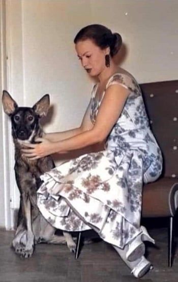 هند رستم وأناقة ورقي حتى في البيت هند رستم وأناقة ورقي حتى في البيت