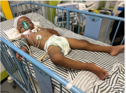 كنان أبو محسن كنان أبو محسن