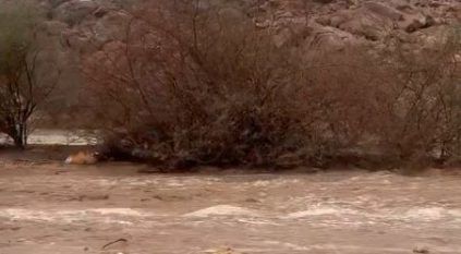 شاهد.. أمطار غزيرة وسيول بأحياء جنوب مكة المكرمة