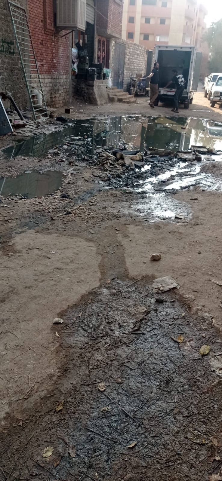 الشارع الشارع