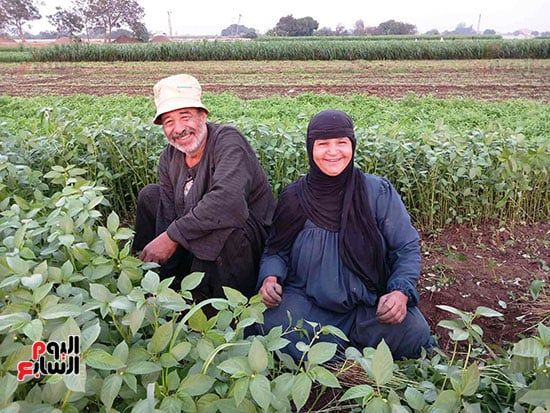 ابتسامة-الرضا