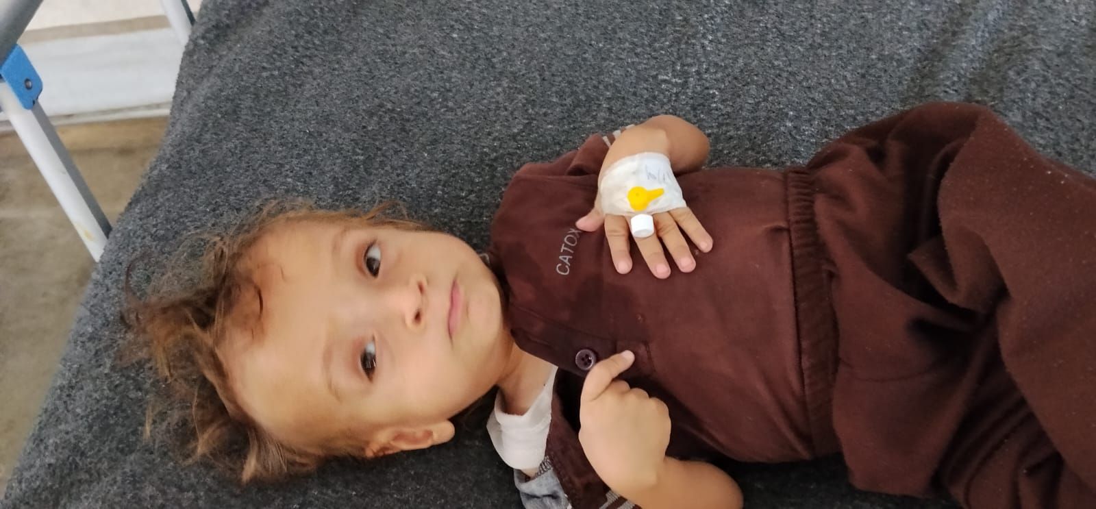 محمد ابو طعيمة محمد ابو طعيمة