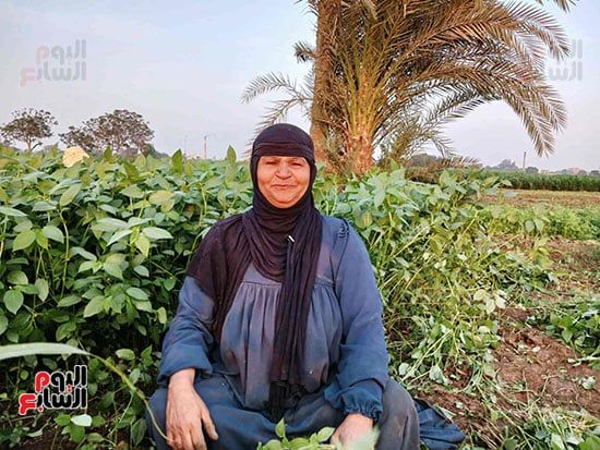 صوت-مصرى-اصيل