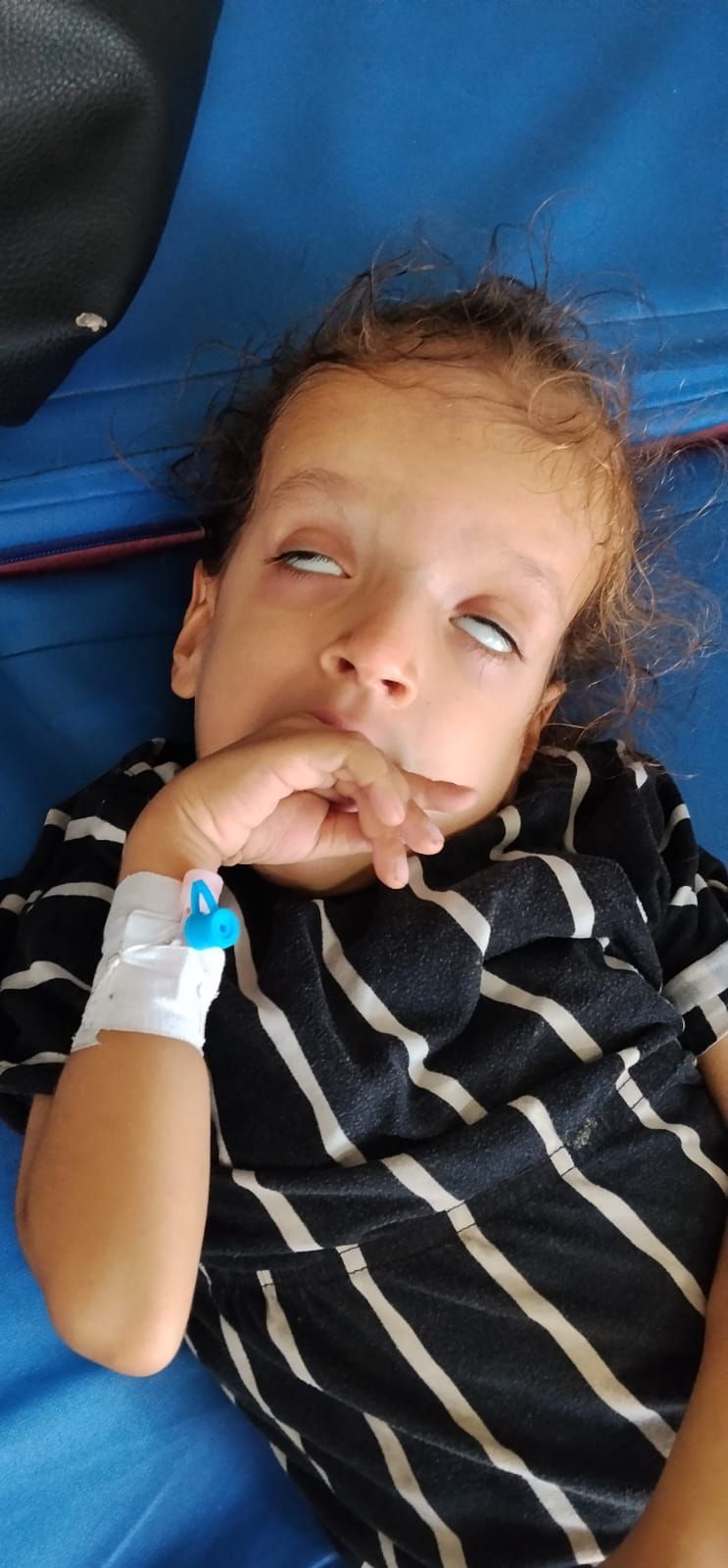 الطفلة أميرة أبو طعيمة الطفلة أميرة أبو طعيمة