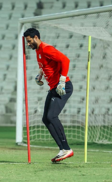 الشناوى 1 الشناوى 1